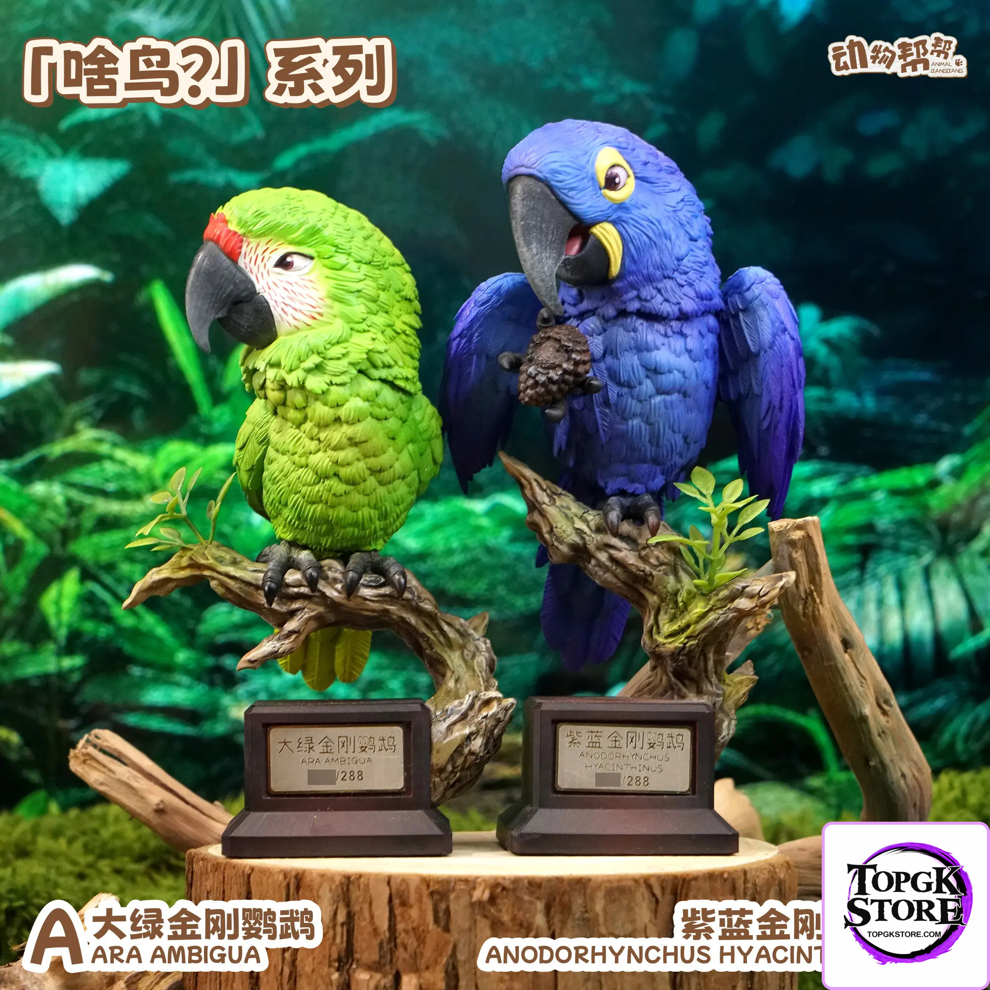 Animal BangBang Studio – Original “What bird?” Series Ara ambigua & Anodorhynchus hyacinthinus (License