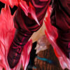 Make Monster Studio – Kaioken Goku Dragon Ball - Photo 7 | TopGKStore