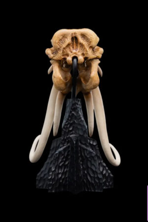 WETA Workshop Studio – SKULL OF A MÛMAK 86-13-04691 (Licensed) - Photo 1 | TopGKStore