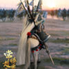 303TOYS X JSTOYS – 1/6 NO.W002 X NO.W003 EVER-VICTORIOUS ZHAO YUN – ZILONG (Licensed) - Photo 3 | TopGKStore