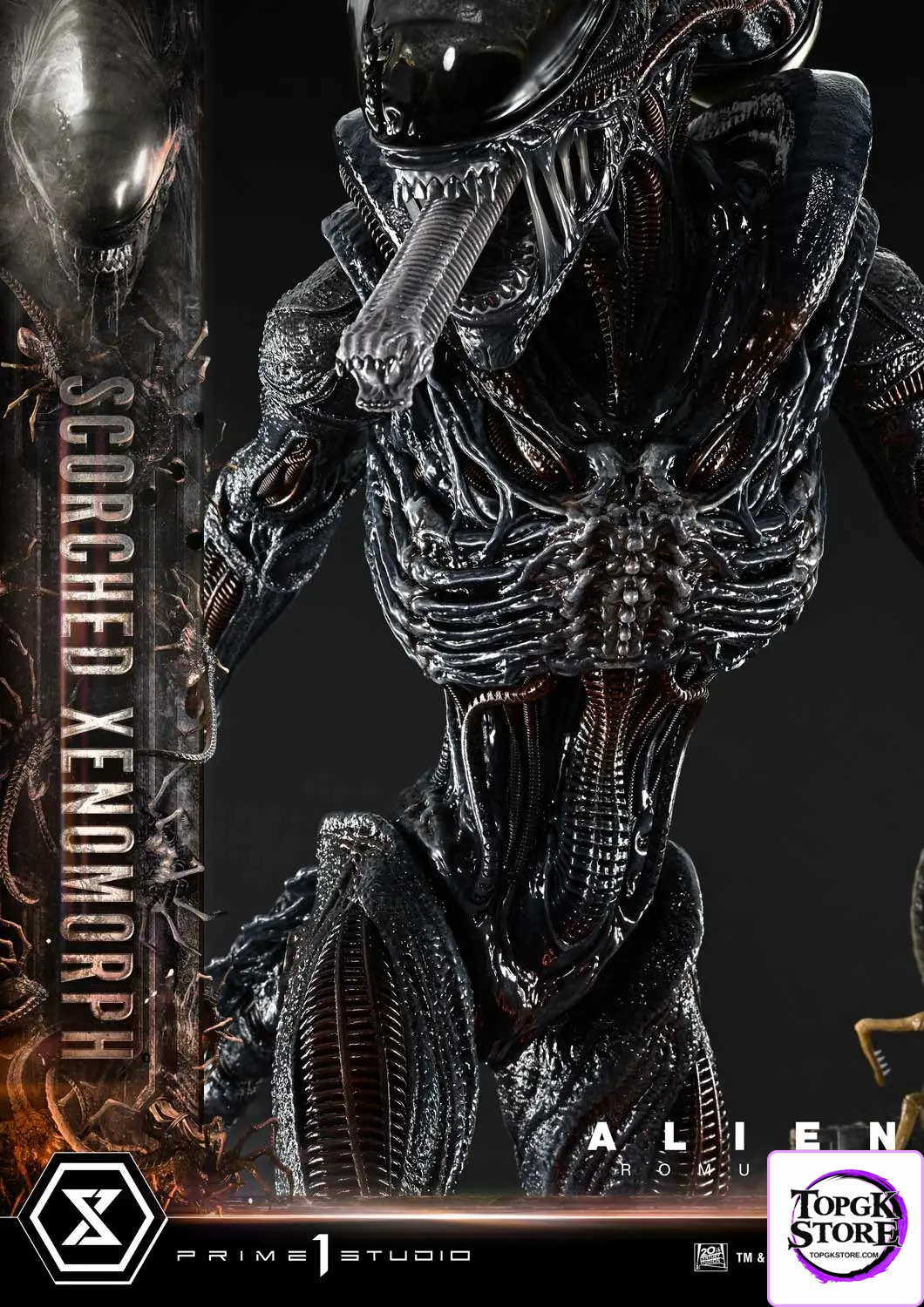 Prime 1 Studio – Museum Masterline XL Alien: Romulus Scorched Xenomorph MMXLAL-02 MMXLAL-02DX MMXLAL-02DXS (Licensed) -