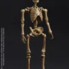 PALM ELF SERIES MINI SKELETON FRAME BOBY -101TOYS - ES024 - Photo 1 | TopGKStore