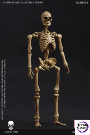 PALM ELF SERIES MINI SKELETON FRAME BOBY -101TOYS - ES024 - Photo 1 | TopGKStore