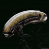 52toys – IB-13 ALIEN XENOMORPH (Licensed) - Photo 2 | TopGKStore