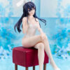 Aniplex – Rascal Does Not Dream Series Mai Sakurajima Bunny ver. NON scale figure (Licensed) - Photo 3 | TopGKStore