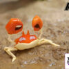 Kuai Le Wu Studio – Kingler Group Pokémon - Photo 6 | TopGKStore