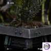 Iron Studio – Leia and Wicket 1:10 Scale Statue LUCSWR126625-10 (Licensed) - Photo 7 | TopGKStore