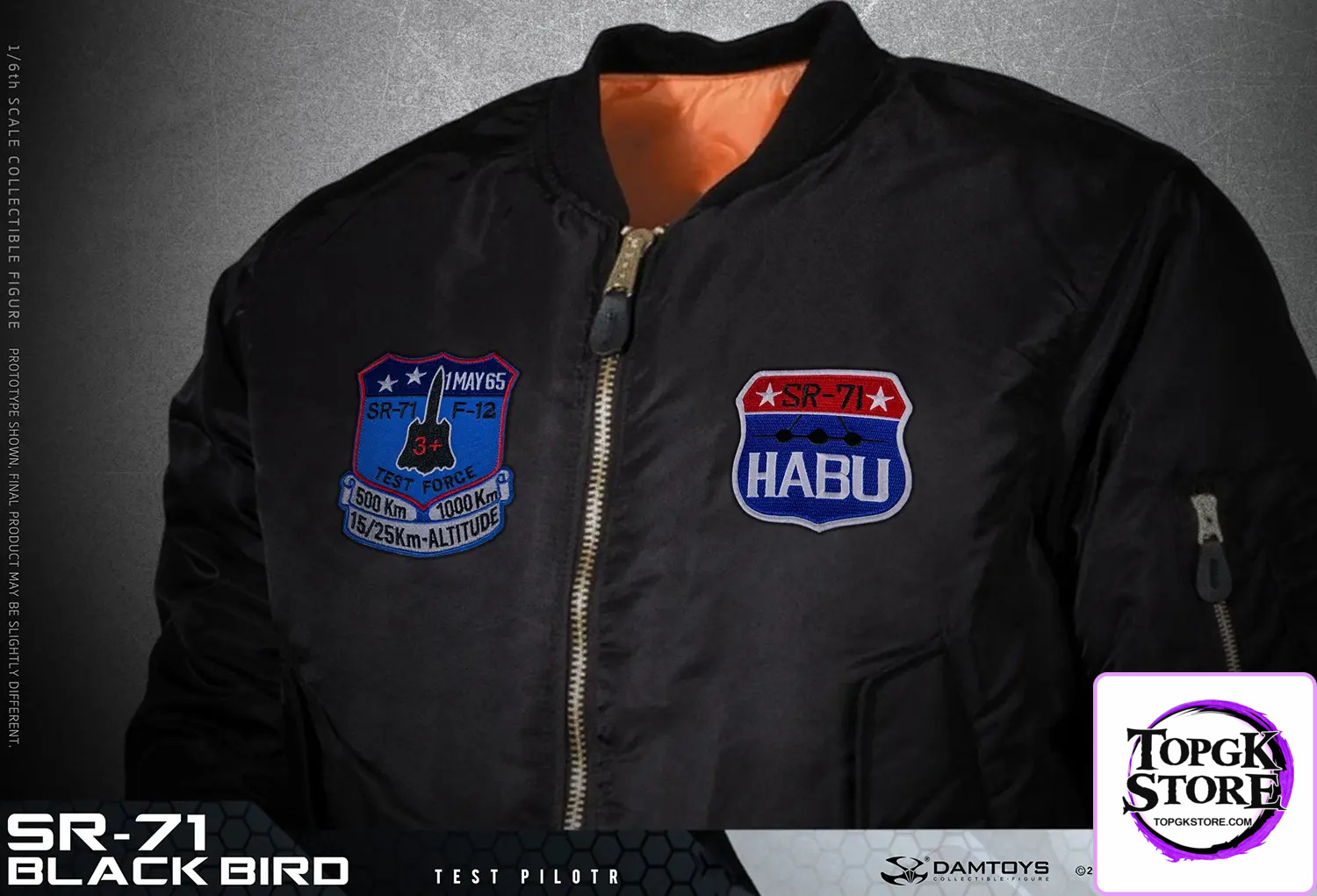 DAMTOYS – 1/6 Scale SR-71 Blackbird Test Pilot NO.78109 (Licensed) - Photo 9 | TopGKStore