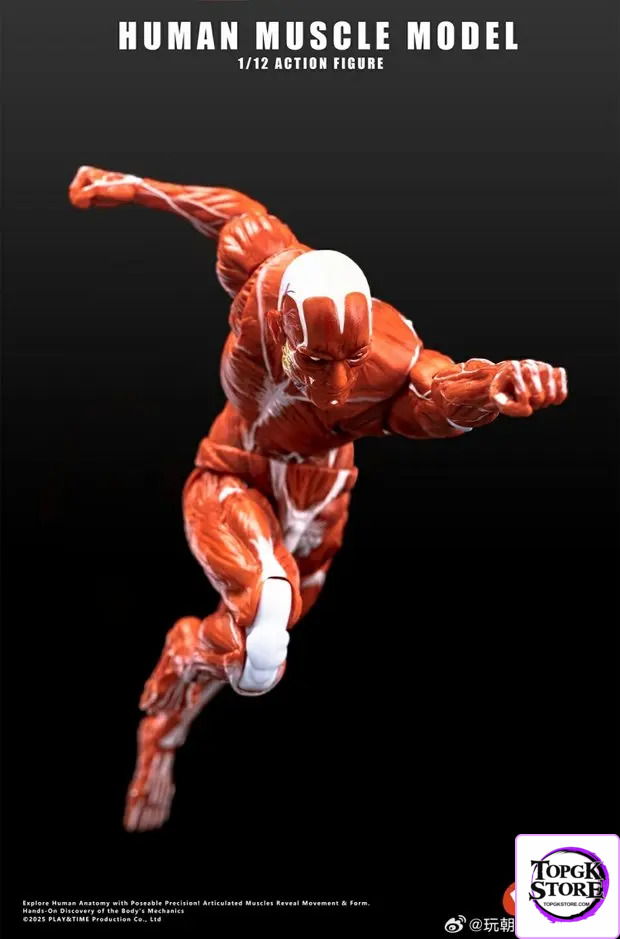 KEEPGOING – Human Muscle Model 1/12 Highly Articulated Figure (Licensed) - Photo 1 | TopGKStore