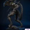 Premium Collectibles Studio – Grid Alien – 1/2 Scale Statue (Licensed) - Photo 9 | TopGKStore