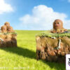 JC Studio – First Generation 151 Series #121 Diglett X #122 Dugtrio Pokémon - Photo 6 | TopGKStore