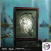 miHoYo – Honkai: Star Rail – Anaxa’s Thought Experiment Themed Paper Carving Lamp (Licensed) - Photo 1 | To