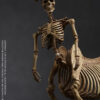 101TOYS – 1/12 PALM ELF SERIES Skeleton movable horse series set NO.ES028 NO.ES029 NO.ES030 NO.ES031 (Licensed) - Photo