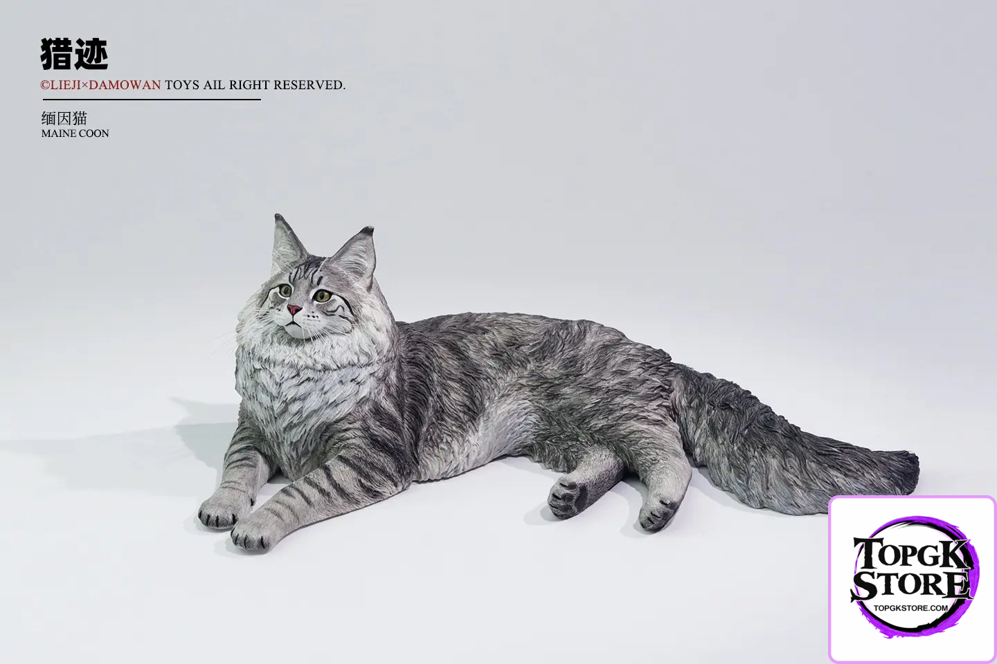 Lieji – 1/6 Maine Coon D2507A (Licensed) - Photo 4 | TopGKStore