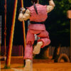 Storm Toys – DAN – STREET FIGHTER ZERO 3 “STORM ARENA” SFSA04 (Licensed) - Photo 10 | TopGKStore