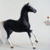 Mr.Z – Ferghana Horse 1/6 Statue (Licensed) - Photo 2 | TopGKStore