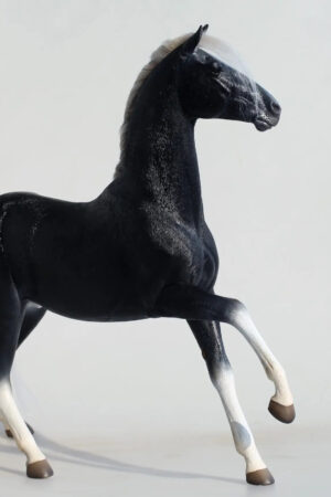 Mr.Z – Ferghana Horse 1/6 Statue (Licensed) - Photo 2 | TopGKStore