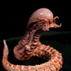 3109 Studio – Chestburster Alien vs. Predator - Photo 4 | TopGKStore