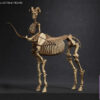 101TOYS – 1/12 PALM ELF SERIES Skeleton movable horse series set NO.ES028 NO.ES029 NO.ES030 NO.ES031 (Licensed) - Photo