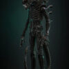 Hottoys – Alien Big Chap 1/6th scale Collectible Figure MMS826 (Licensed) - Photo 1 | TopGKStore