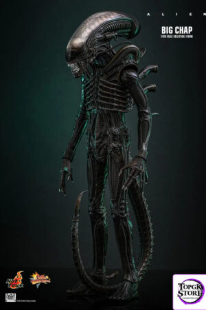 Hottoys – Alien Big Chap 1/6th scale Collectible Figure MMS826 (Licensed) - Photo 1 | TopGKStore