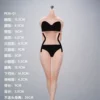 Person Model - 1/6 No.1 Body Curvy Body Type PEM-01 Silicone Female Body (Licensed) - Photo 1 | TopGKStore