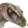 Elite Creature Collectibles (ECC) – Jurassic Park III Female Velociraptor White Queen & JP3 Velociraptor Resonating