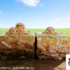 JC Studio – First Generation 151 Series #121 Diglett X #122 Dugtrio Pokémon - Photo 7 | TopGKStore