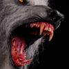 Premium Collectibles studio – Howling III – The Werewolf (Licensed) - Photo 8 | TopGKStore
