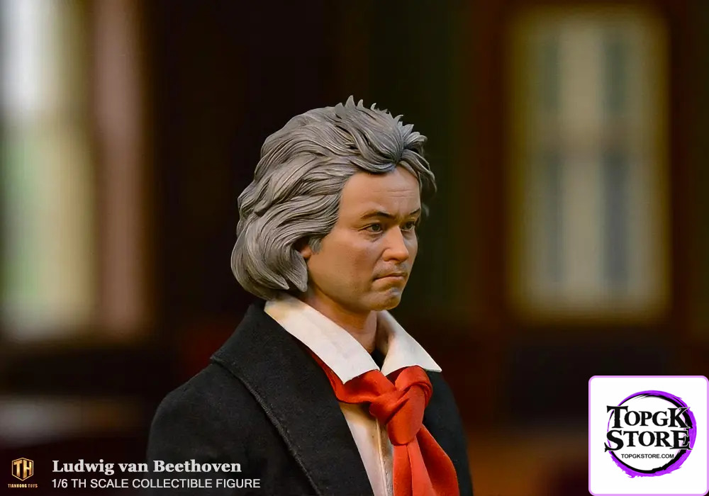 THTOYS – Ludwig van Beethoven 1/6 Action Figure THA004 (Licensed) - Photo 10 | TopGKStore