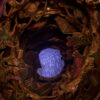 ZuoBan Studio – Art Museum Series #04 Howl’s Moving Castle - Photo 16 | TopGKStore