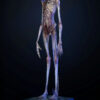 Deep Tale Studio – Chestburster (Alien: Covenant) Alien - Photo 1 | TopGKStore