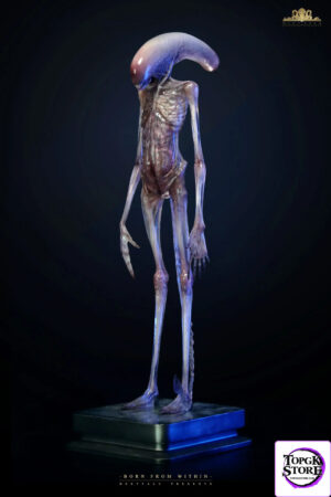 Deep Tale Studio – Chestburster (Alien: Covenant) Alien - Photo 1 | TopGKStore