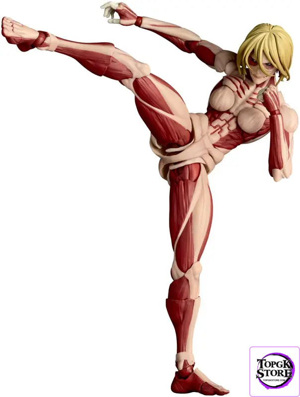 Kaiyodo – Revoltech Amazing Yamaguchi Attack on Titan Armored Titan & Female Titan (Licensed) - Photo 22 | TopGKSto