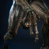 Premium Collectibles Studio – Grid Alien – 1/2 Scale Statue (Licensed) - Photo 15 | TopGKStore