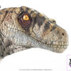 Elite Creature Collectibles (ECC) – Jurassic Park III Female Velociraptor White Queen & JP3 Velociraptor Resonating