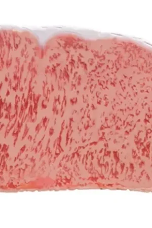 Royal Craftsman Studio - Large Simulated Marbled Beef Model Large Scale Sculpture - Photo 1 | TopGKStore