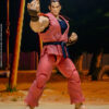Storm Toys – DAN – STREET FIGHTER ZERO 3 “STORM ARENA” SFSA04 (Licensed) - Photo 14 | TopGKStore