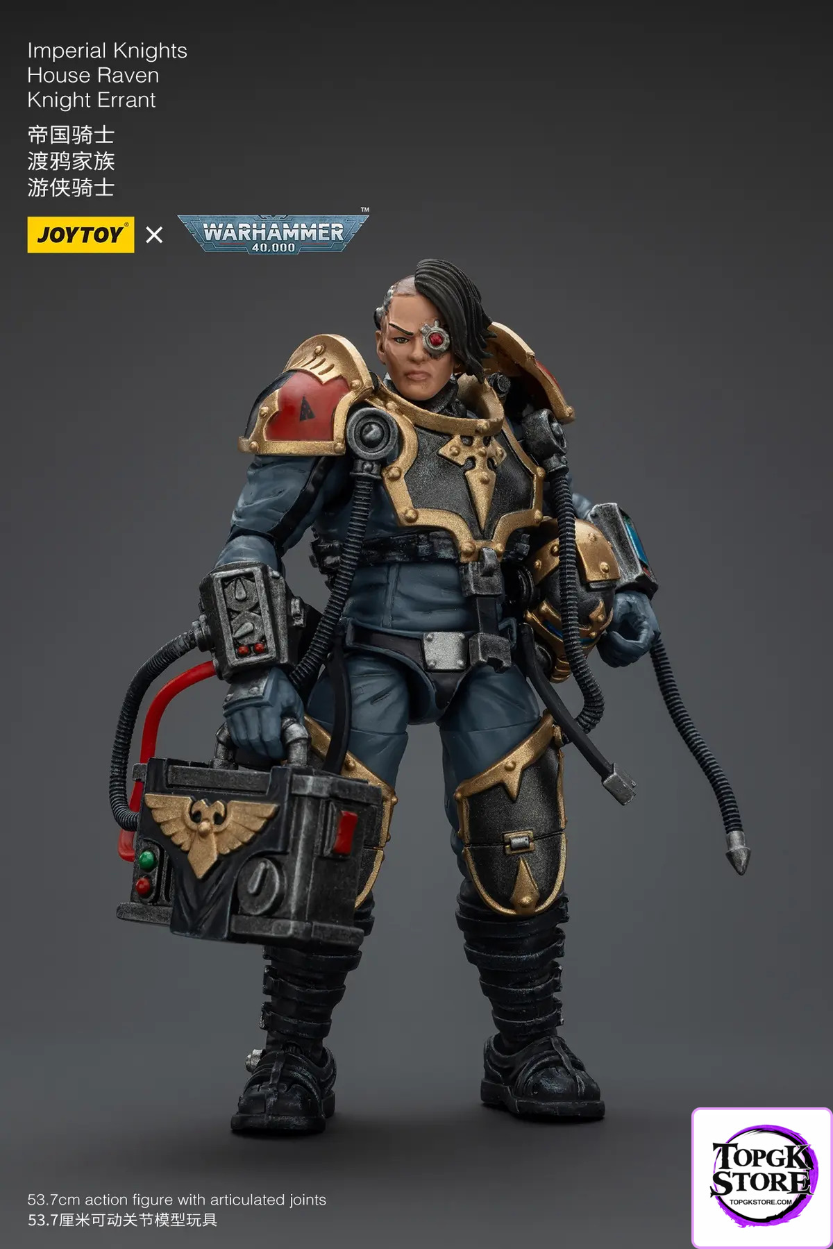 JOYTOY – Ultramarines Relic Secundus Armour & Imperial Knights House Raven Knight Errant JT01536 JT9305 (Licensed)