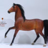 Mr.Z – Ferghana Horse 1/6 Statue (Licensed) - Photo 14 | TopGKStore