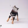 JXK - Frisbee Shiba Shiba Inu - Photo 1 | TopGKStore