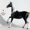 Mr.Z – Ferghana Horse 1/6 Statue (Licensed) - Photo 15 | TopGKStore