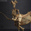 101TOYS – 1/12 PALM ELF SERIES Skeleton movable horse series set NO.ES028 NO.ES029 NO.ES030 NO.ES031 (Licensed) - Photo