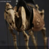 101TOYS – 1/12 PALM ELF SERIES Skeleton movable horse series set NO.ES028 NO.ES029 NO.ES030 NO.ES031 (Licensed) - Photo