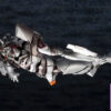 Kotobukiya – Godzilla vs. Evangelion – EVA-01 Test Type Mecha Godzilla Ver. Plastic Model (Licensed) - Photo 6 | 