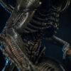 Premium Collectibles Studio – Grid Alien – 1/2 Scale Statue (Licensed) - Photo 16 | TopGKStore