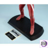MegaHouse – Ultimate Article Ultra Seven (Battle Image Color Ed.) Complete Figure (Licensed) - Photo 10 | TopGKStore