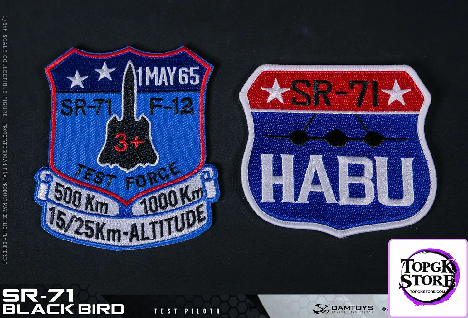 DAMTOYS – 1/6 Scale SR-71 Blackbird Test Pilot NO.78109 (Licensed) - Photo 12 | TopGKStore