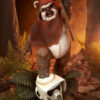 Sideshow – Star Wars Wicket 300919 (Licensed) - Photo 1 | TopGKStore