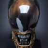 Coolprops Studio – Alien Xenomorph 1/1 Life size Bust Resin Statue Figure (Licensed) - Photo 2 | TopGKStore